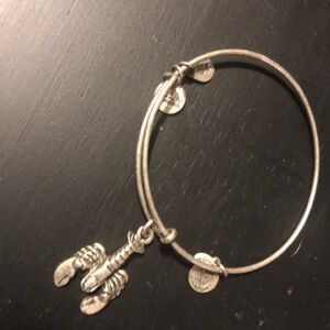 🦞 Alex and Ani bracelet